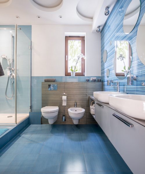 Bathroom in blue